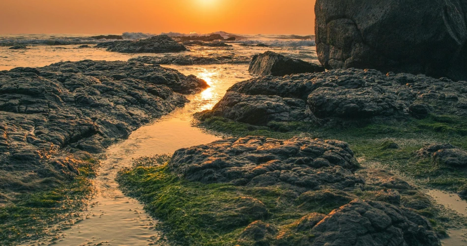 Things to Do in Oceanside, USA: Explore Beaches, Restaurants, Festivals & More